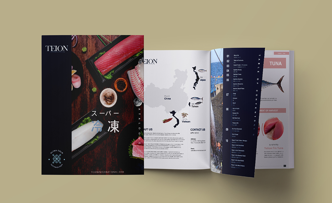 Teion Brochure